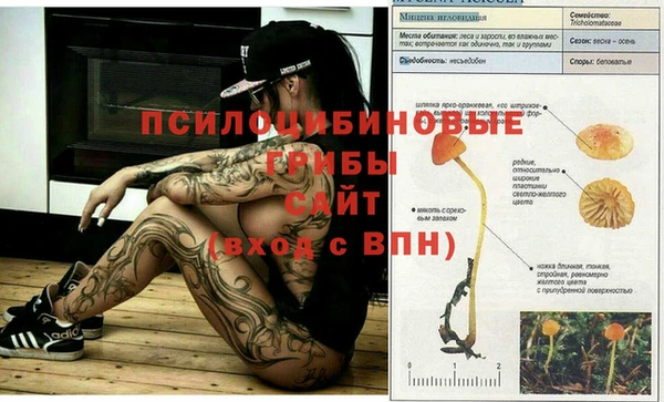 прущая мука Ладушкин